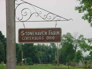 Stonehaven Tree Farm
